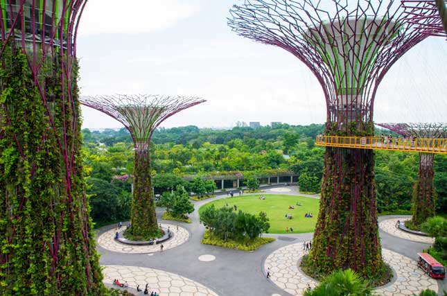 Singapore's Gardens by the Bay (Photo by M!cka)