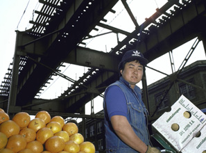A greengrocer in 1985, when the Korean stores were a common sight in many neighborhoods, including some of the poorest