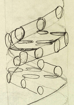 Francis Crick's 1953 sketch of the structure of DNA