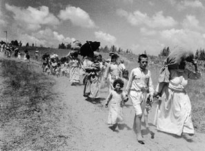 Palestinian refugees flee the 1948 Arab-Israeli war.